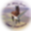 flyridestaycanvas1.png