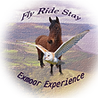 flyridestaycanvas1.png