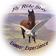 flyridestaycanvas1.png
