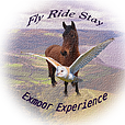flyridestaycanvas1.png
