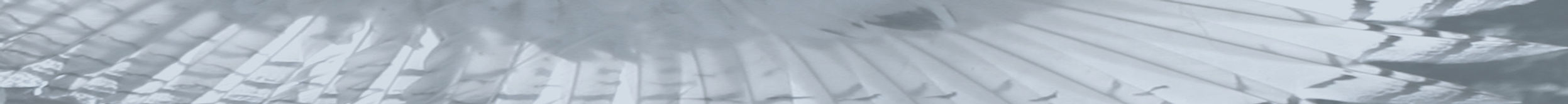 nadiwing_edited_edited.jpg