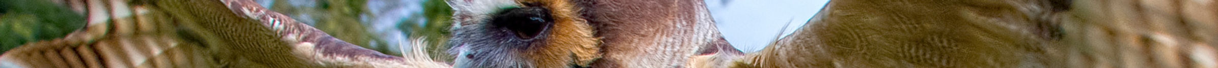 3J4A5193_v1_edited.jpg